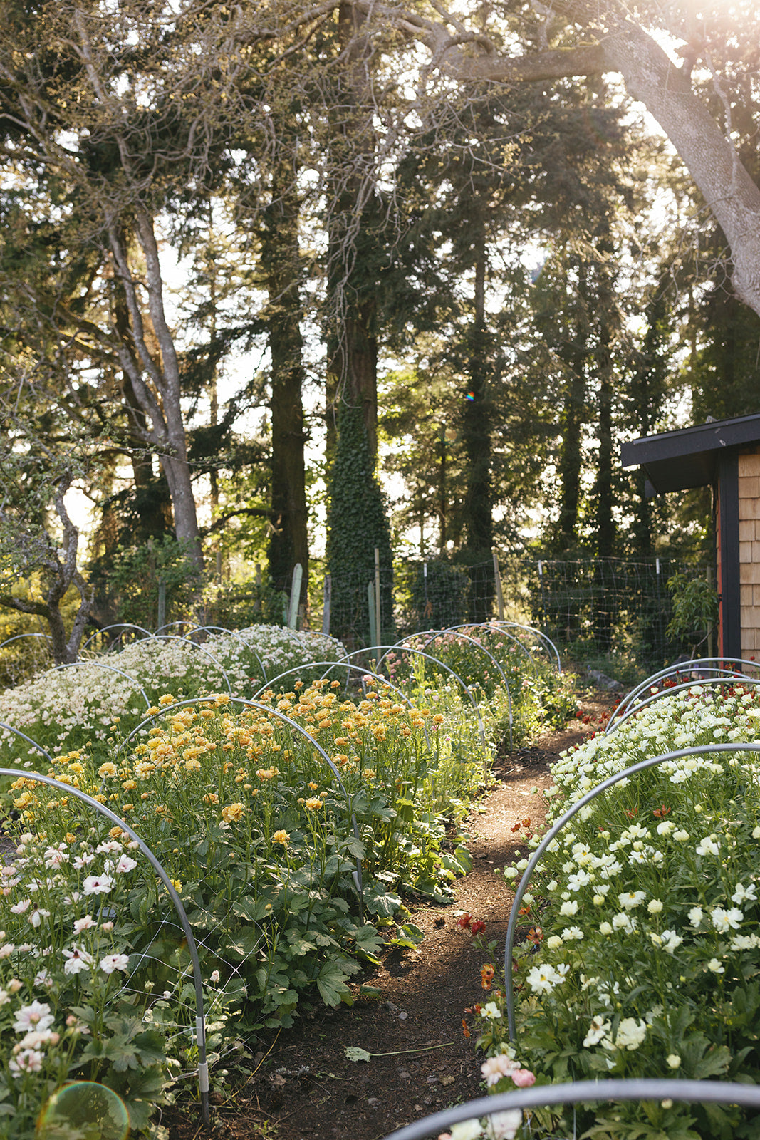 Fleuris Garden Tour Saturday, August 15