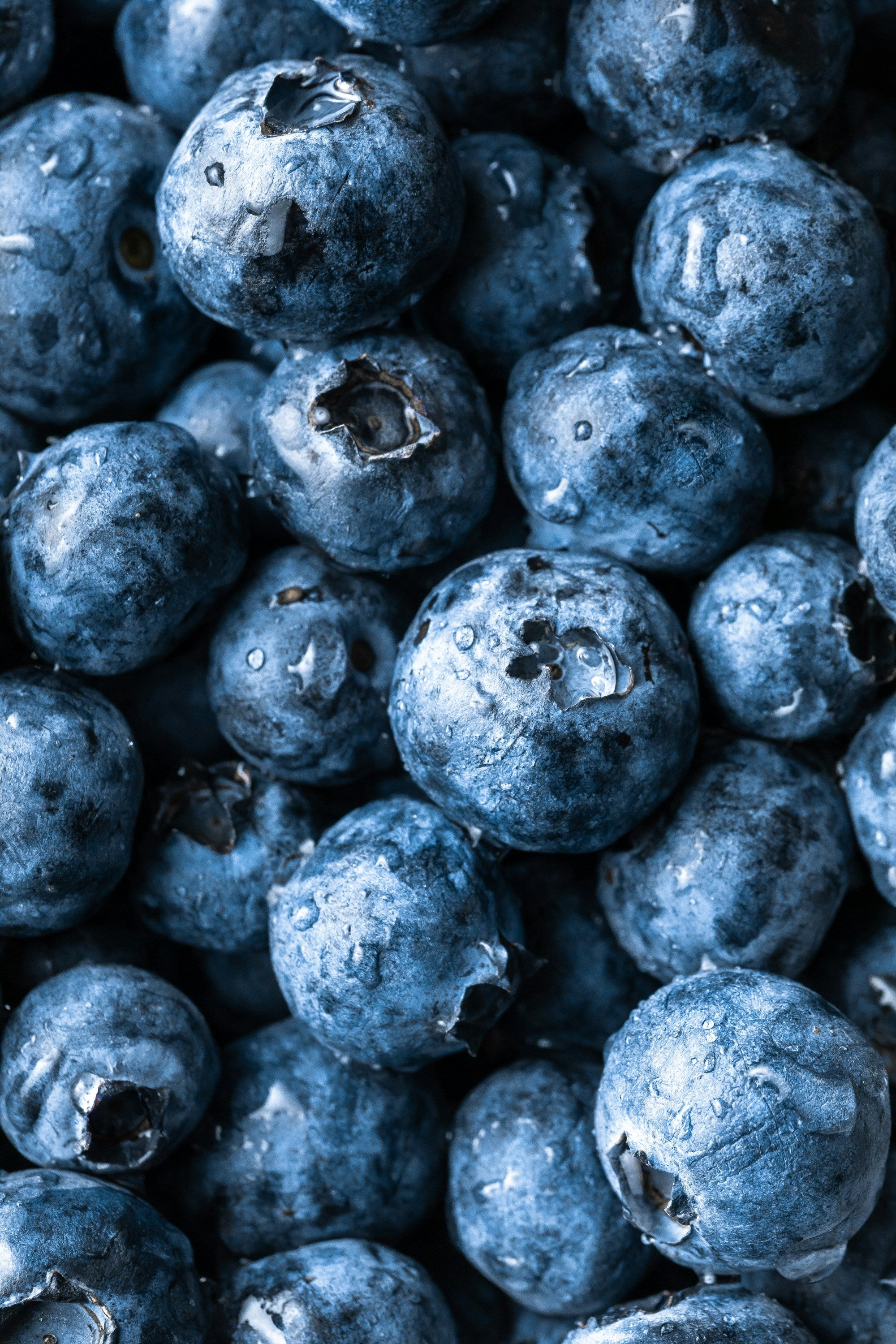 ❄️ Frozen Blueberries – Pre-Order Only (1.1 kg)