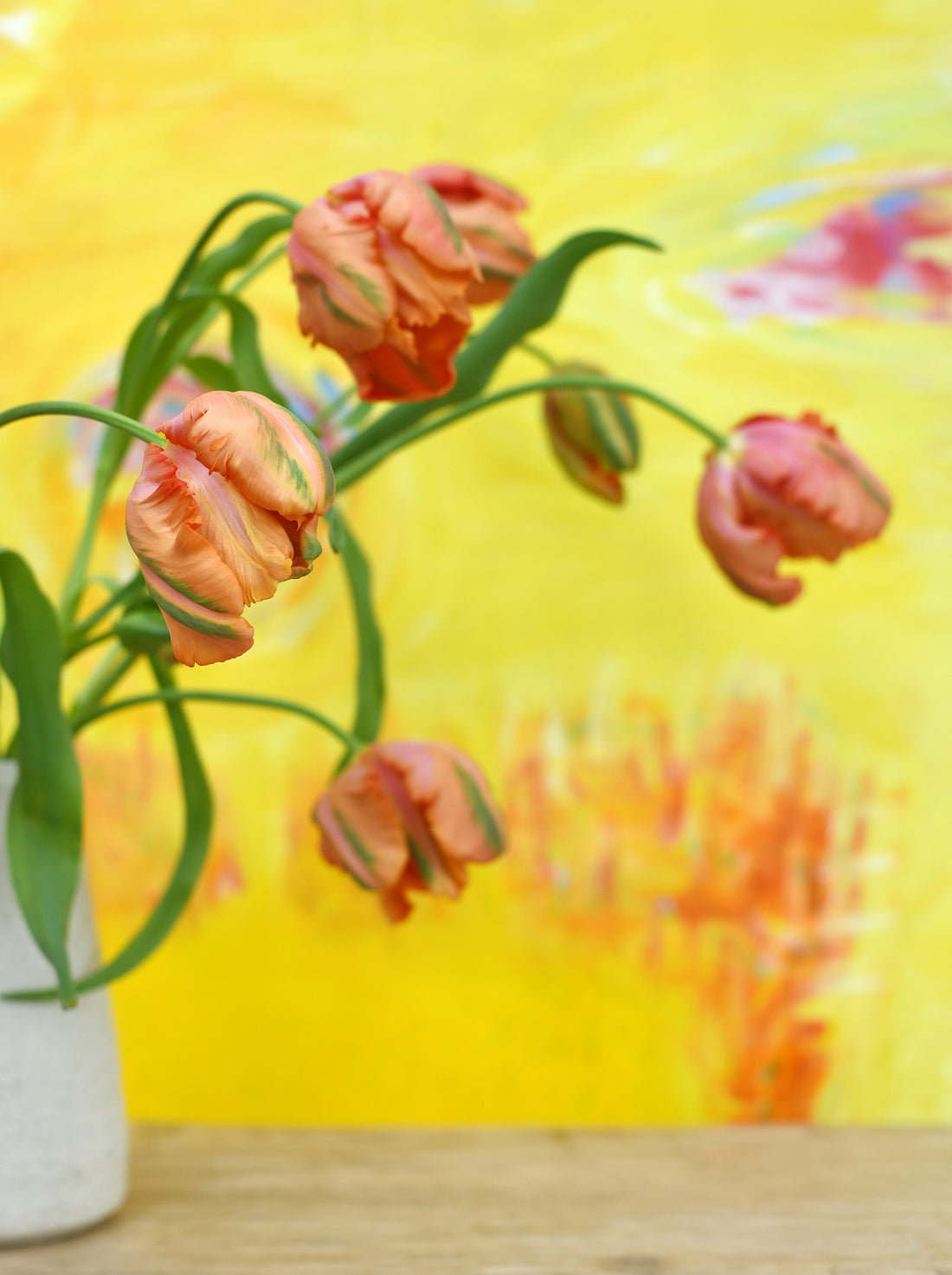 Stems from the Garden Subscription
