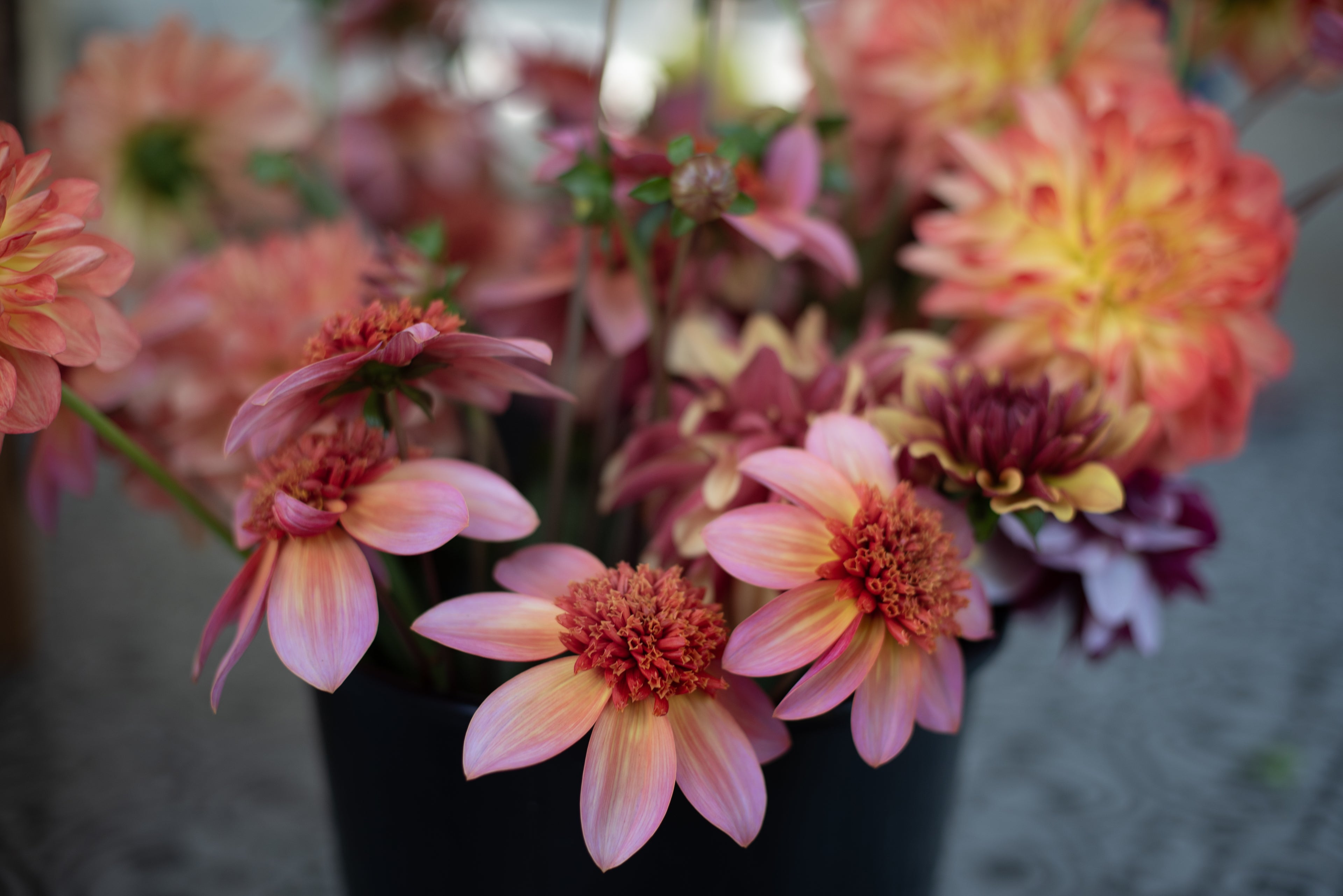 DIY Wedding Flower Bucket