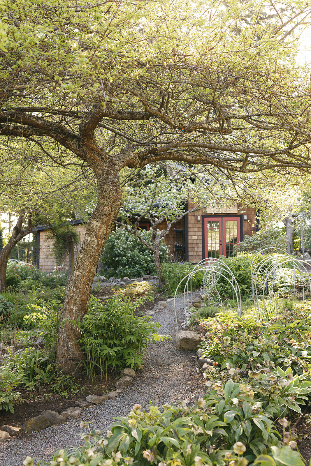 Slow Flowers Gathering in the Orchard Garden with Debra Prinzing - Saturday, August 22, 2026 | 3 PM–5 PM