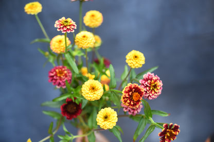 2025 Petite Posies Subscription - 6 Posies